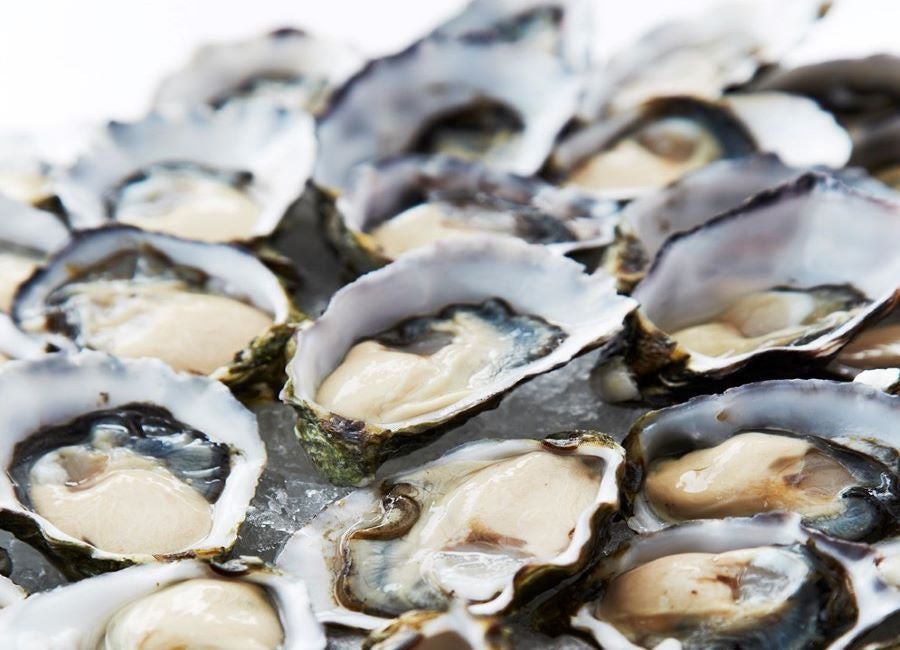 Oysters, Mussels, Shellfish Conway Fresh Online