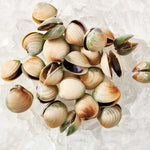 Load image into Gallery viewer, New Zealand Littleneck Clams
