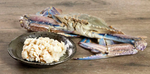 Load image into Gallery viewer, Crab Meat Blue Swimmer WA Raw
