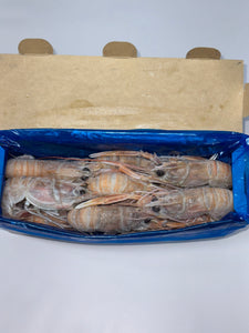 Scampi