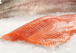 Load image into Gallery viewer, Ocean Trout Side
