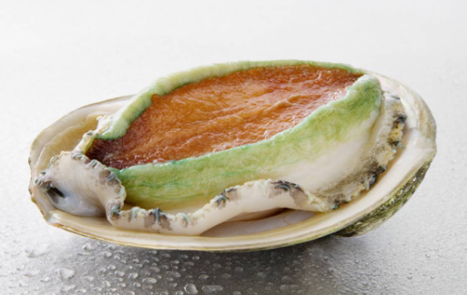 Green Lip Abalone  Australia