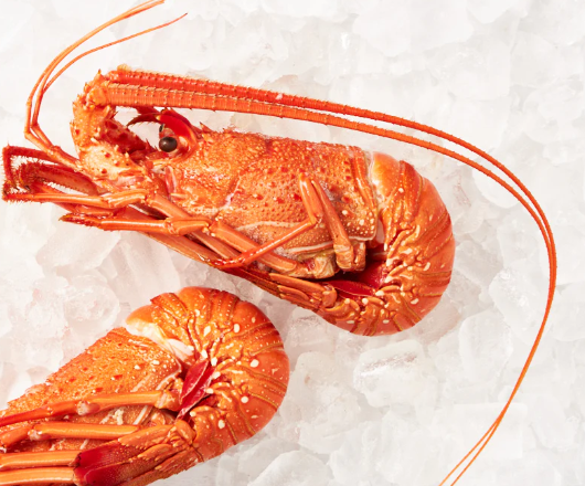 Frozen Crayfish Cooked WA