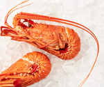 Load image into Gallery viewer, Frozen Crayfish Cooked WA
