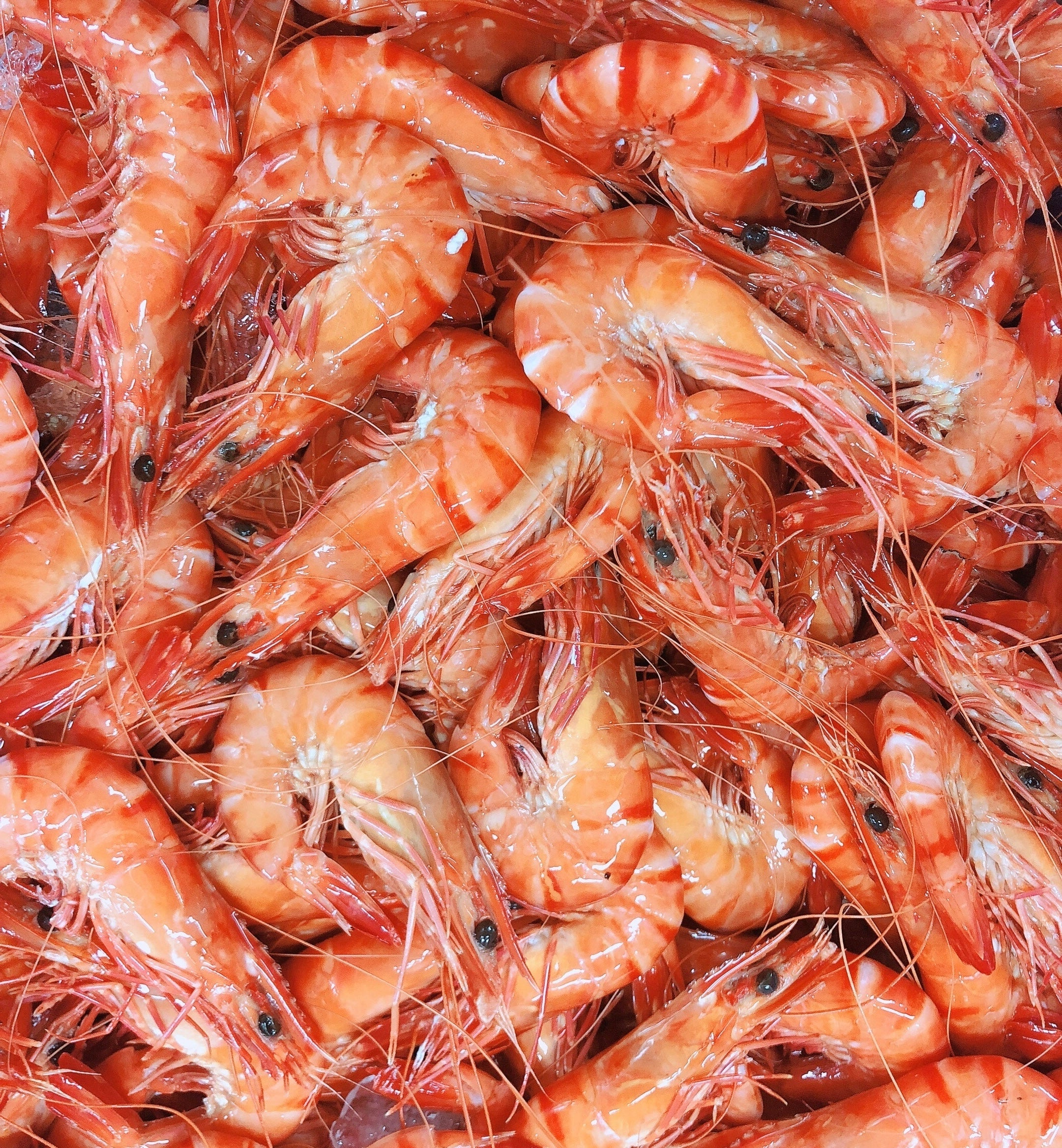 Prawns Whole Cooked Tigers Australian