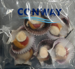 Load image into Gallery viewer, Scallops 1/2 shell
