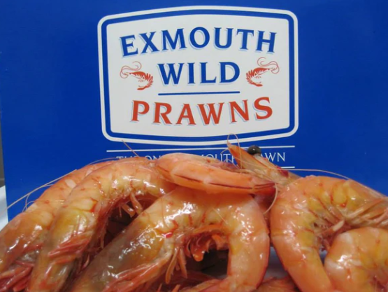 Prawns Whole Cooked Ocean King XL Australian