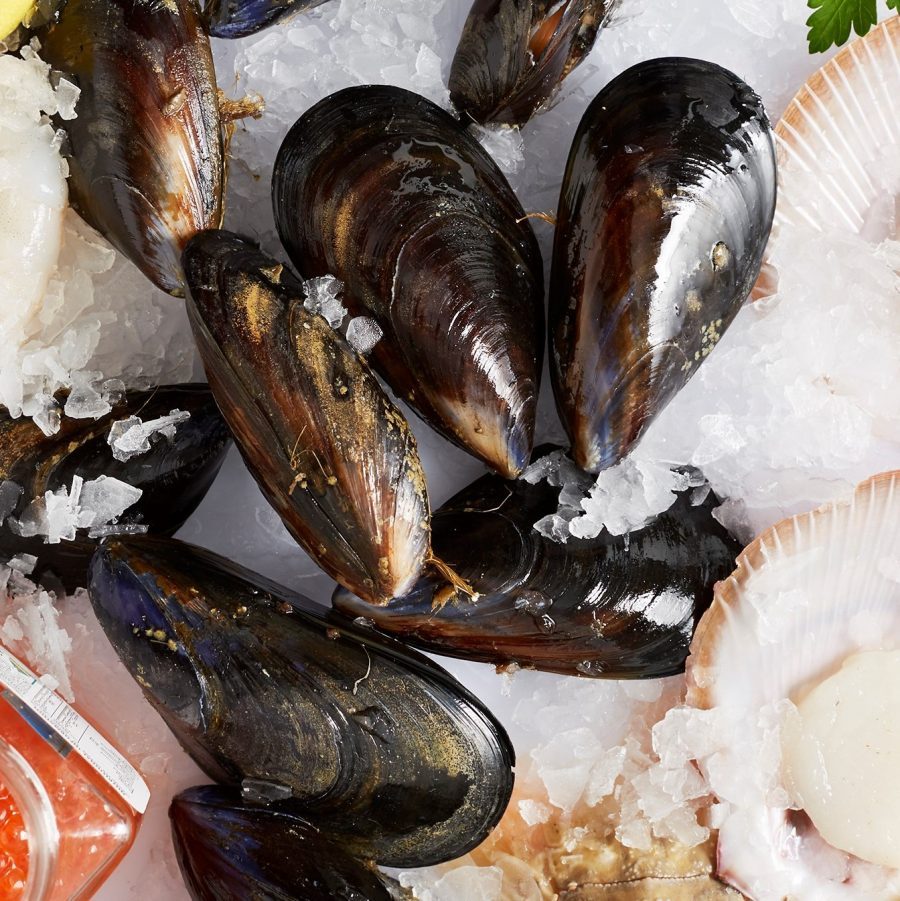 Oysters, Mussels, Shellfish – Conway Fresh Online