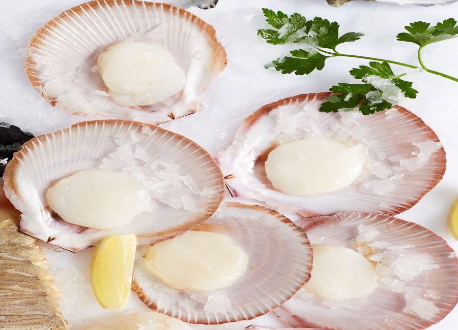 Scallops 1/2 shell – Conway Fresh Online