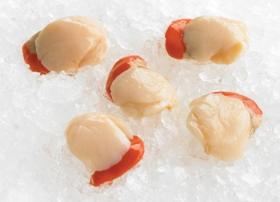 Scallop Roe Inside Scallops Meat Roe On – Conway Fresh Online