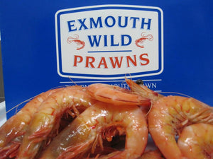 Prawns Whole Cooked Ocean King XL Australian