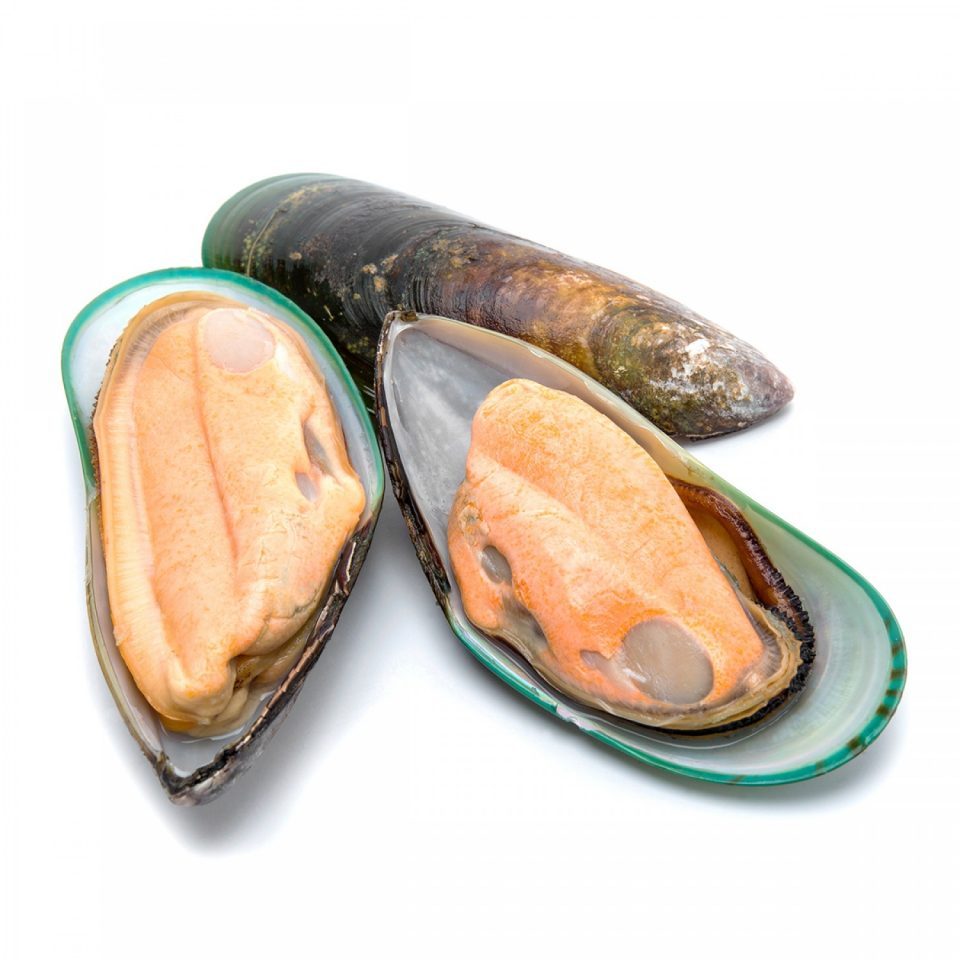 Mussels 1/2 Shell N.Z – Conway Fresh Online