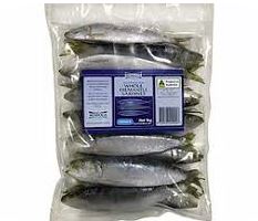 Frozen Sardines Fremantle W.A.